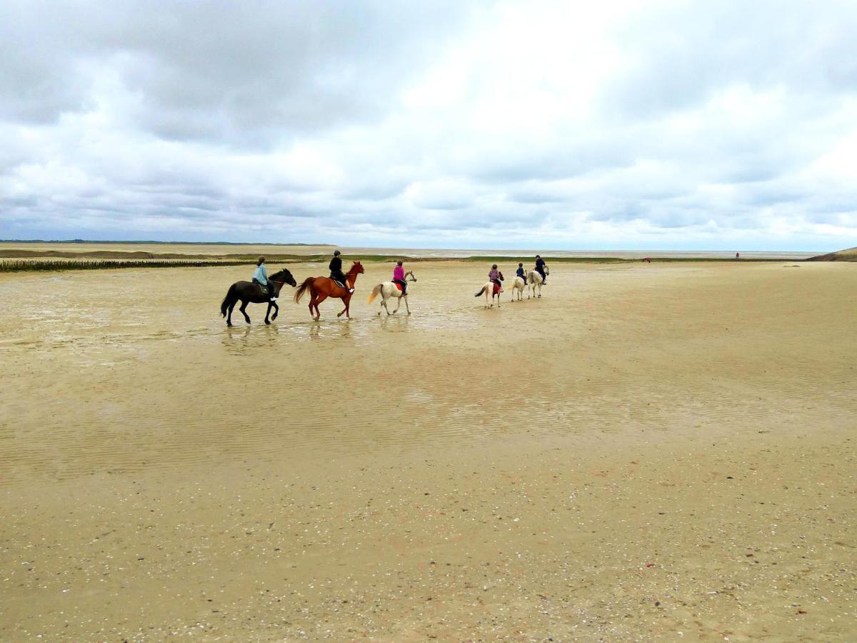 Maison Proche Des Immenses Plages De Berck Sur Mer A 1,8Km Des Plages エクステリア 写真